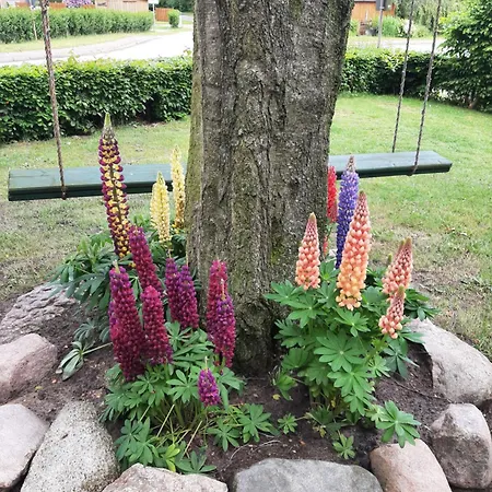 Huetti's Huette Oldendorf (Steinburg)