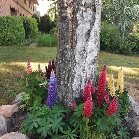 Δωμάτια σε οικογενειακή κατοικία Huetti's Huette *